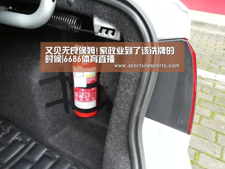又见无良保姆!家政业到了该洗牌的时候|6686体育直播(图1) 6686体育