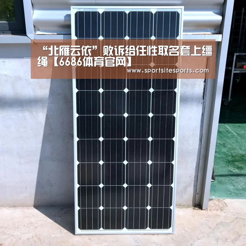 6686体育app