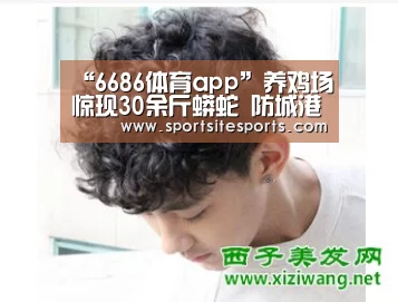 6686体育官网