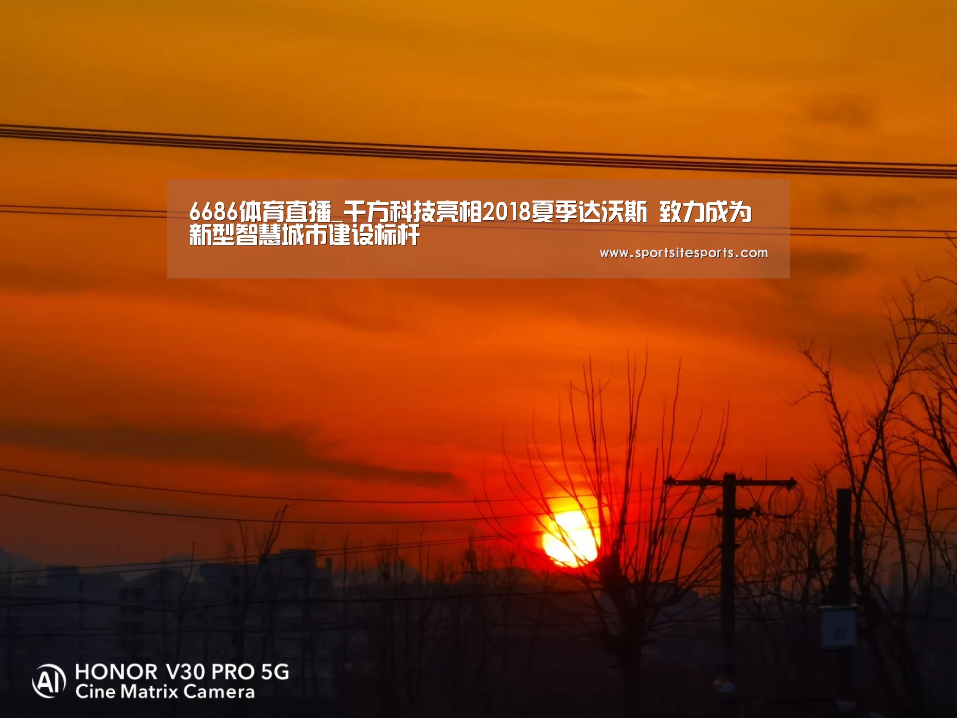 6686体育app