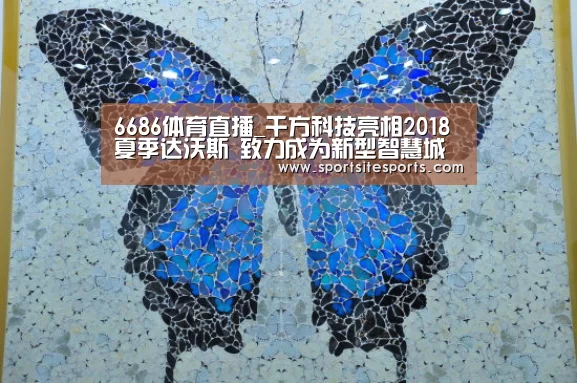 6686体育