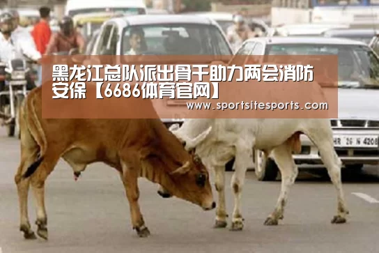 黑龙江总队派出骨干助力两会消防安保【6686体育官网】(图1) 6686体育