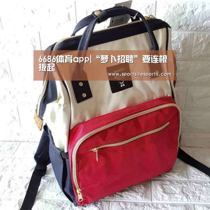 6686体育app|“萝卜招聘”要连根拔起(图3) 6686体育官网