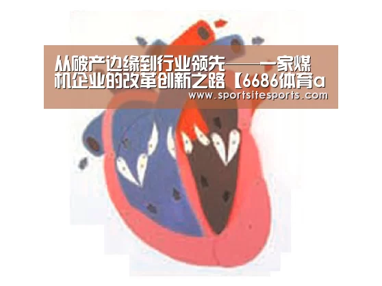 从破产边缘到行业领先——一家煤机企业的改革创新之路【6686体育app】(图2) 6686体育直播