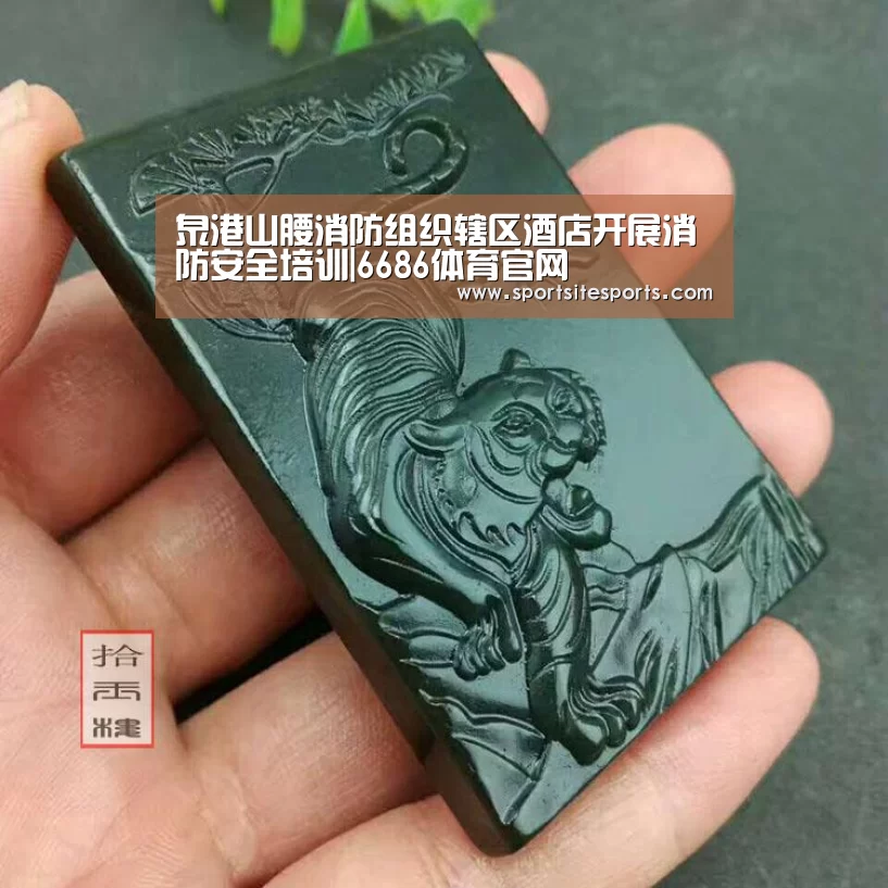 泉港山腰消防组织辖区酒店开展消防安全培训|6686体育官网(图1) 6686体育官网