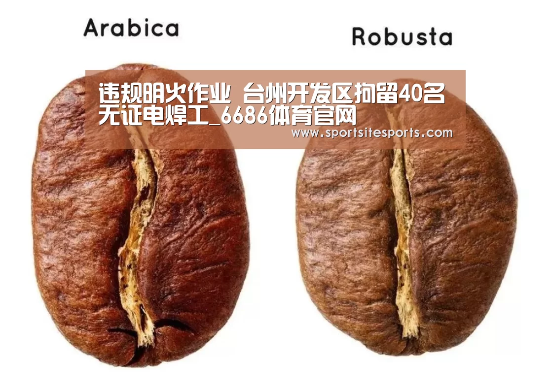 违规明火作业 台州开发区拘留40名无证电焊工_6686体育官网(图4) 6686体育