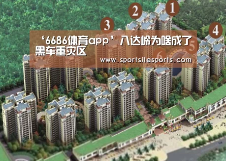 ‘6686体育app’八达岭为啥成了黑车重灾区(图2) 6686体育官网