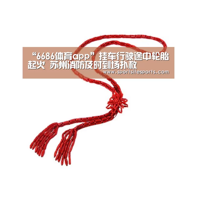 “6686体育app”挂车行驶途中轮胎起火 苏州消防及时到场扑救(图1) 6686体育官网