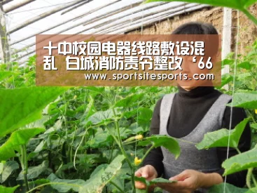 十中校园电器线路敷设混乱 白城消防责令整改‘6686体育官网’(图1) 6686体育app