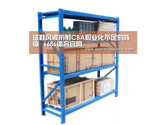 球鞋风波折射CBA职业化不足的阵痛-6686体育官网(图2) 6686体育官网