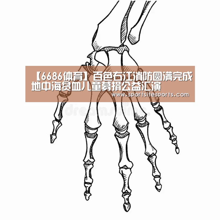 6686体育app